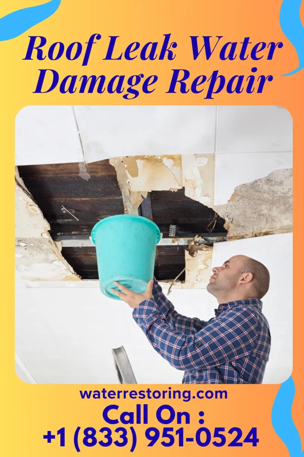 Roof Leak Water Damage Repair in Coats, NC