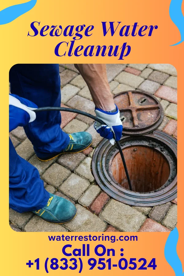 Sewage Water Cleanup in Coats, NC