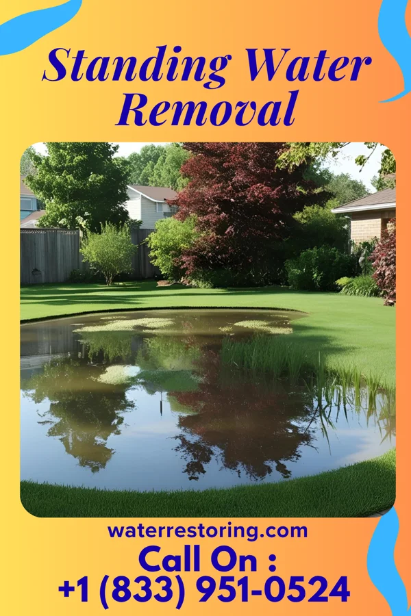 Standing Water Removal in Coats, NC